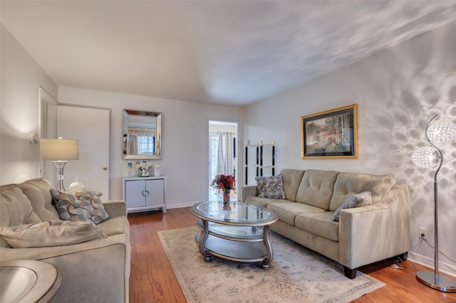 living room featuring hardwood / wood-style floors