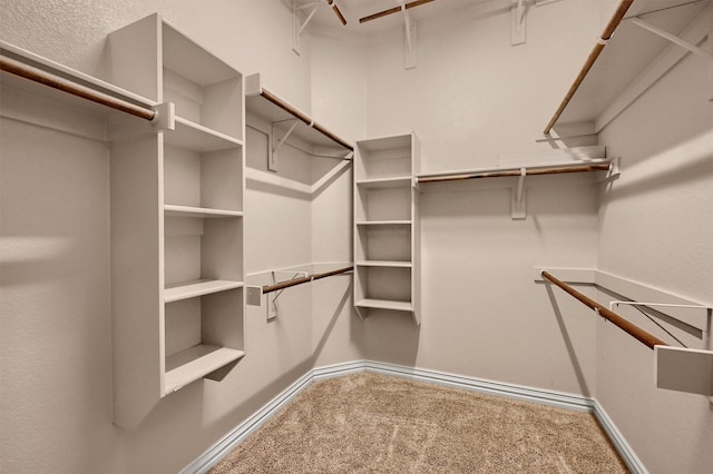 walk in closet with carpet flooring