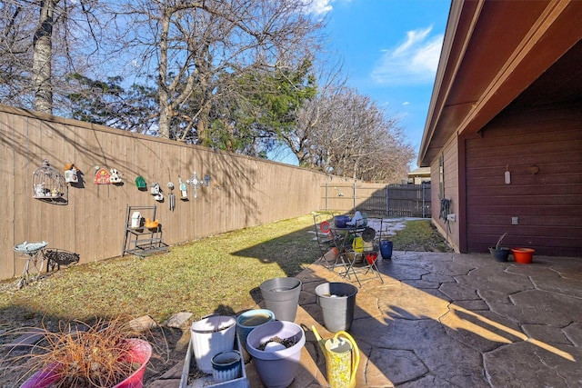 view of yard with a patio area