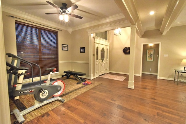 exercise room with ceiling fan, dark hardwood / wood-style flooring, and crown molding