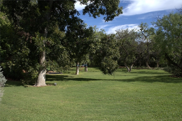 view of community featuring a lawn