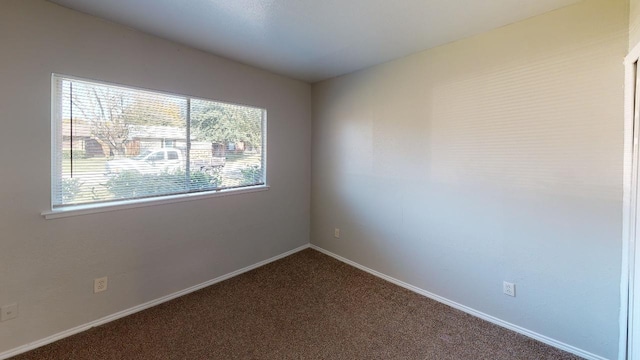 spare room with carpet floors