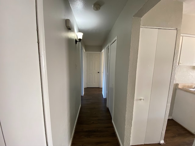 hall with dark hardwood / wood-style flooring