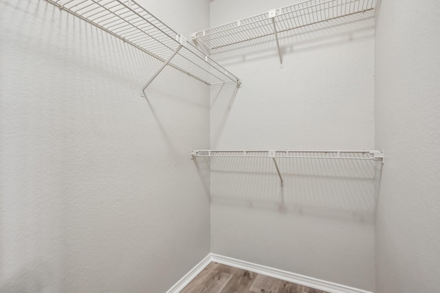 walk in closet with wood-type flooring