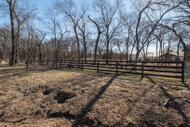 view of yard with a rural view