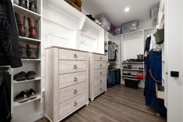 walk in closet featuring dark wood-type flooring