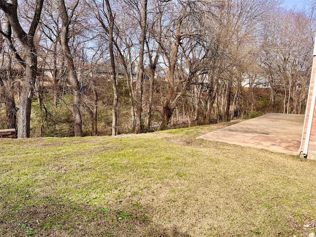 view of yard with a patio area