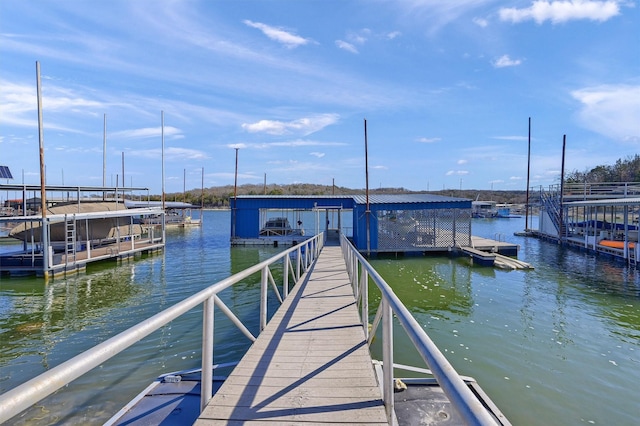 dock area with a water view