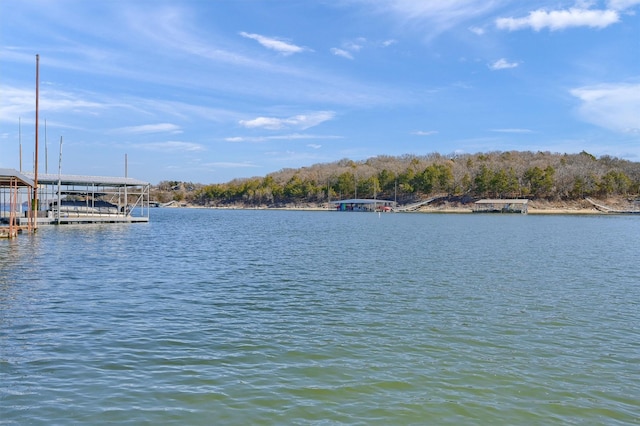 view of water feature featuring a dock