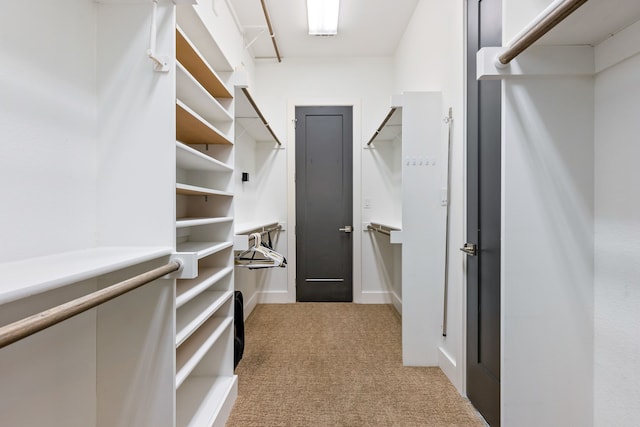 spacious closet with carpet floors