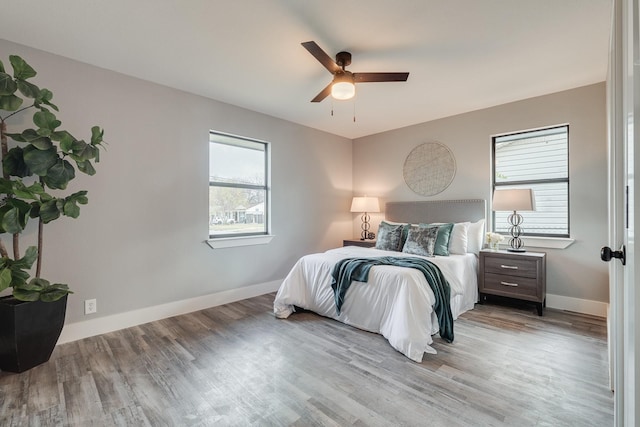 bedroom featuring ceiling fan, multiple windows, and light wood-type flooring