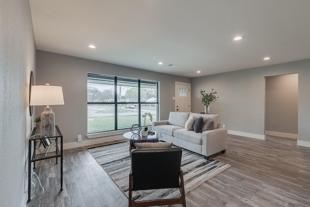 living room with hardwood / wood-style floors