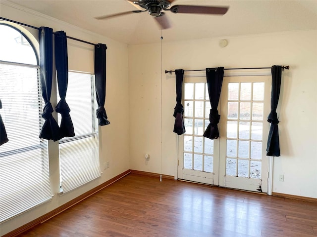 empty room featuring ceiling fan, plenty of natural light, and wood-type flooring