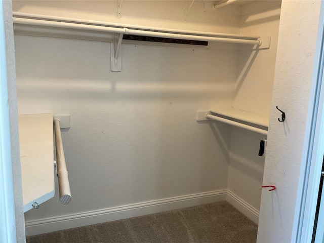 spacious closet with carpet floors