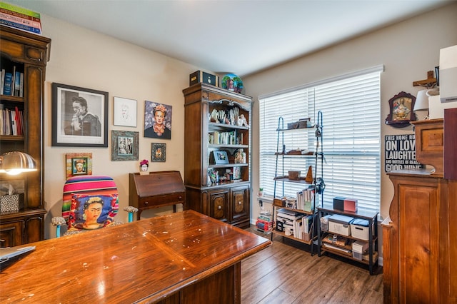 office space with dark hardwood / wood-style flooring