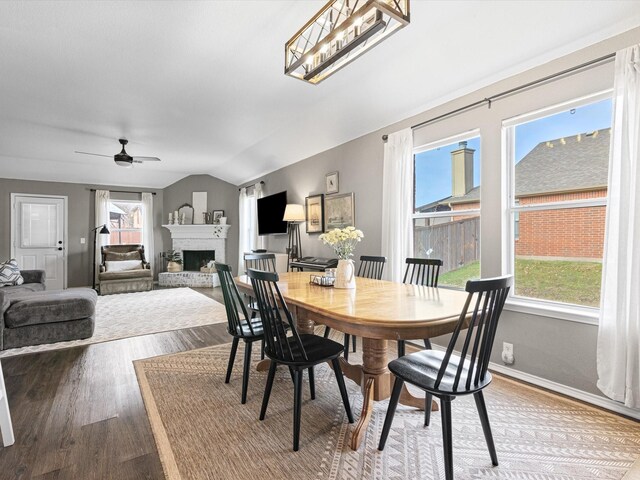dining room featuring a fireplace, wood finished floors, ceiling fan, and plenty of natural light
