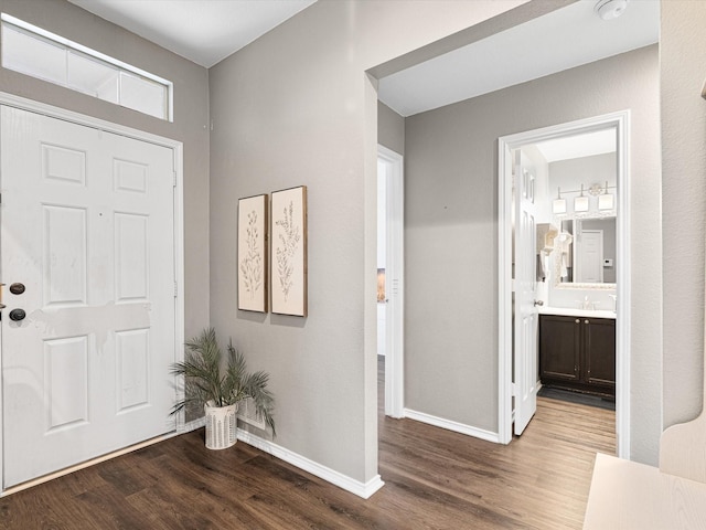 foyer featuring sink and dark hardwood / wood-style flooring