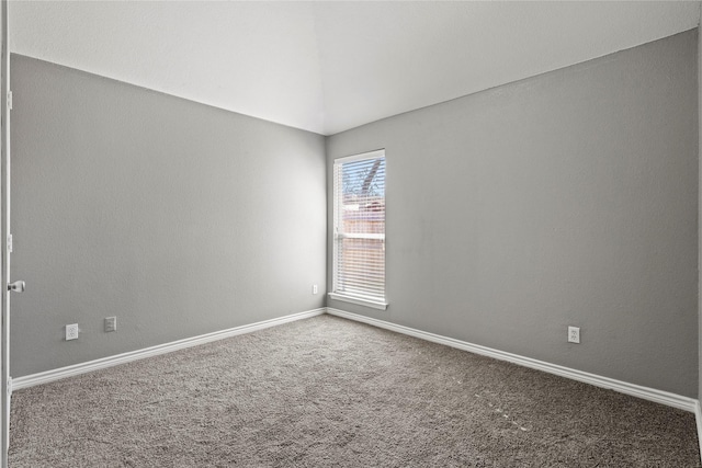 spare room featuring carpet floors