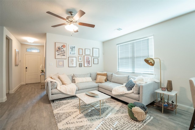 living room with ceiling fan and wood-type flooring