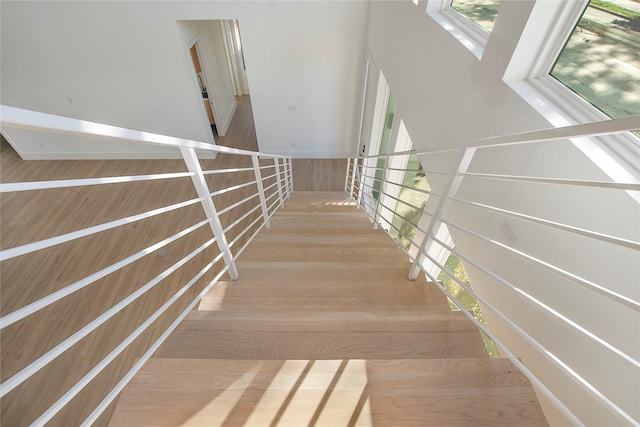 stairway with hardwood / wood-style flooring