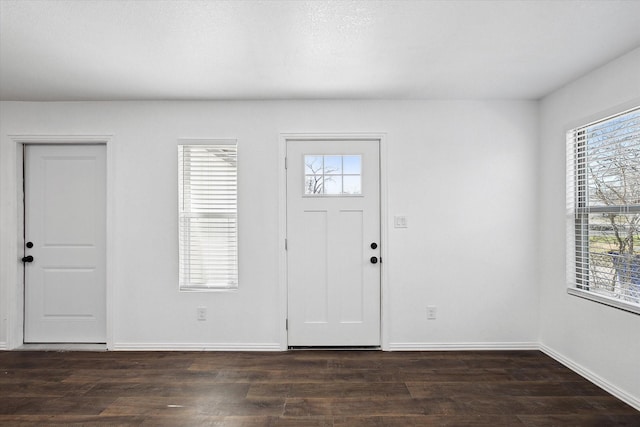 foyer featuring dark hardwood / wood-style flooring and a healthy amount of sunlight