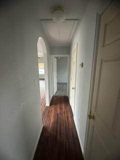 hall featuring dark wood-type flooring and ornamental molding