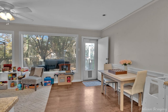 sunroom with ceiling fan