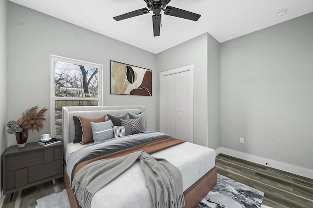 bedroom with ceiling fan, a closet, and dark hardwood / wood-style floors