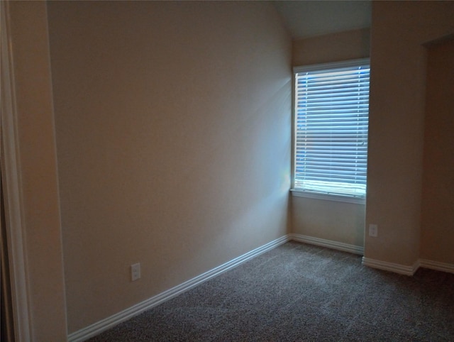 spare room featuring carpet floors