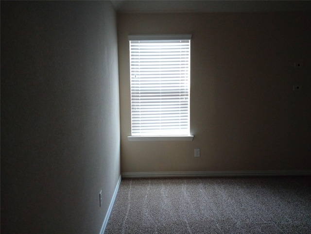 carpeted empty room with a healthy amount of sunlight