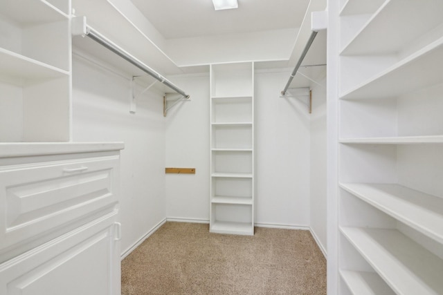 spacious closet with light carpet