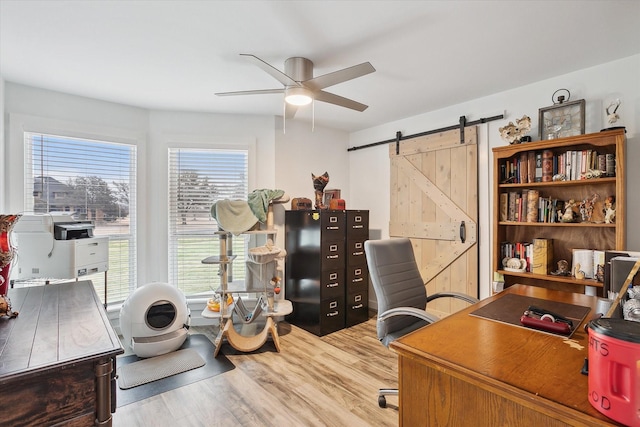 office space featuring ceiling fan, a barn door, and hardwood / wood-style floors