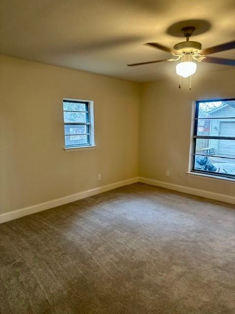 spare room featuring plenty of natural light, ceiling fan, and carpet flooring