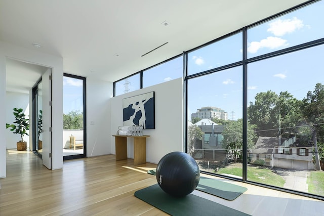 exercise room with a wall of windows, plenty of natural light, and light hardwood / wood-style floors