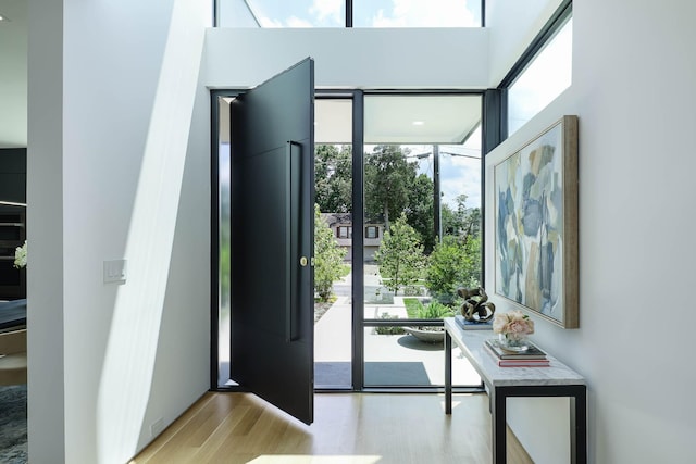 foyer entrance featuring light hardwood / wood-style flooring