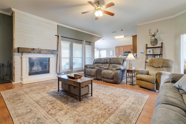 living room featuring crown molding, a large fireplace, ceiling fan, and light wood-type flooring