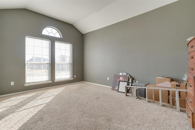 miscellaneous room featuring lofted ceiling and carpet flooring