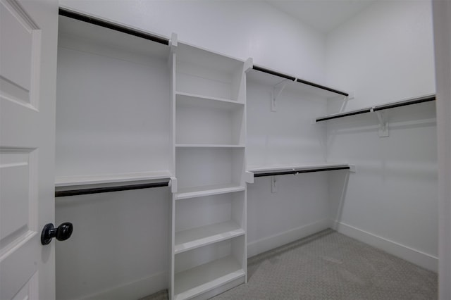 spacious closet with light colored carpet