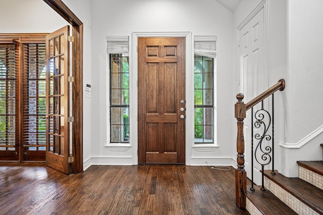 foyer entrance with lofted ceiling, plenty of natural light, and dark wood-type flooring