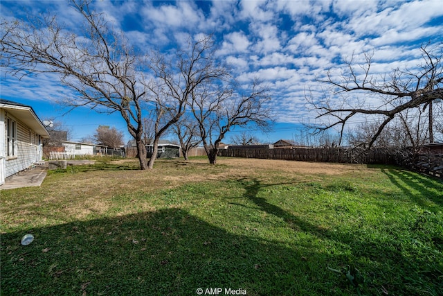 2025 Avenue Ave N, Anson, TX 79501 - view of yard