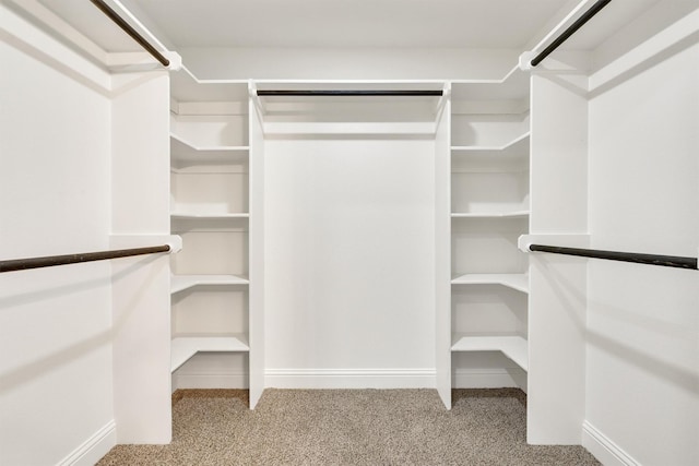 spacious closet with light colored carpet