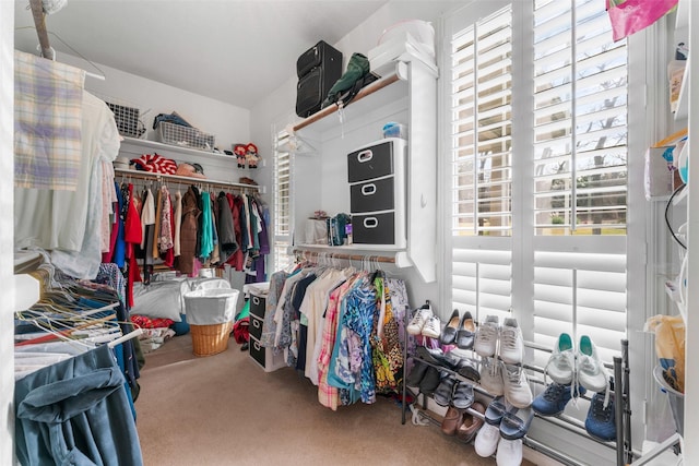 walk in closet with carpet flooring