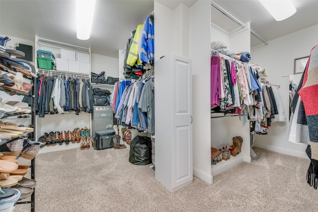 spacious closet featuring light colored carpet