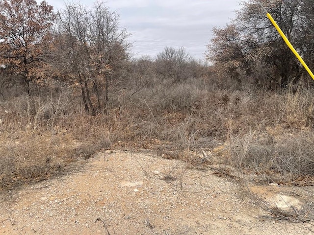 LOT13 US Highway 277, Hawley TX, 79525 land for sale