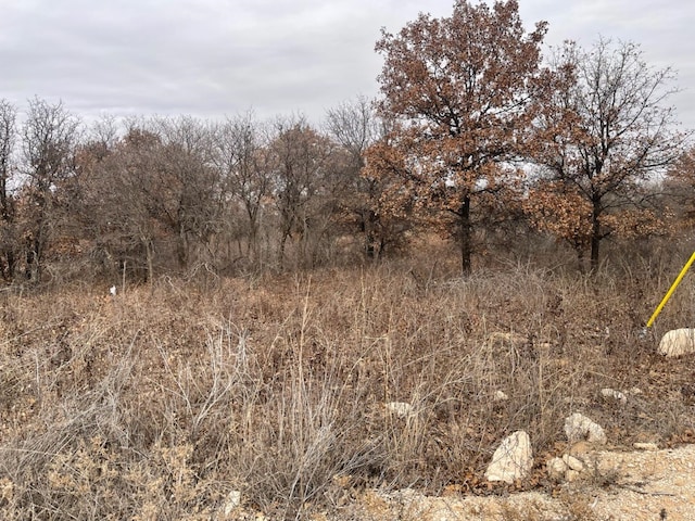 Listing photo 2 for LOT13 US Highway 277, Hawley TX 79525