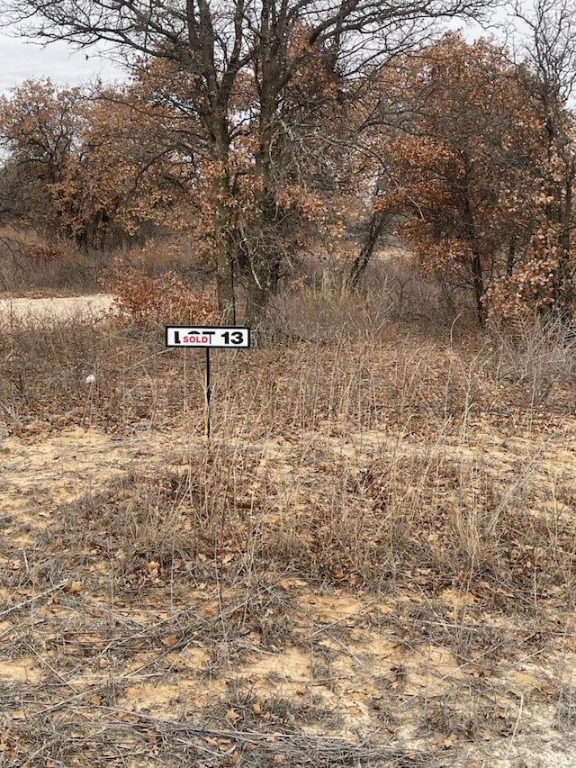 Listing photo 3 for LOT13 US Highway 277, Hawley TX 79525