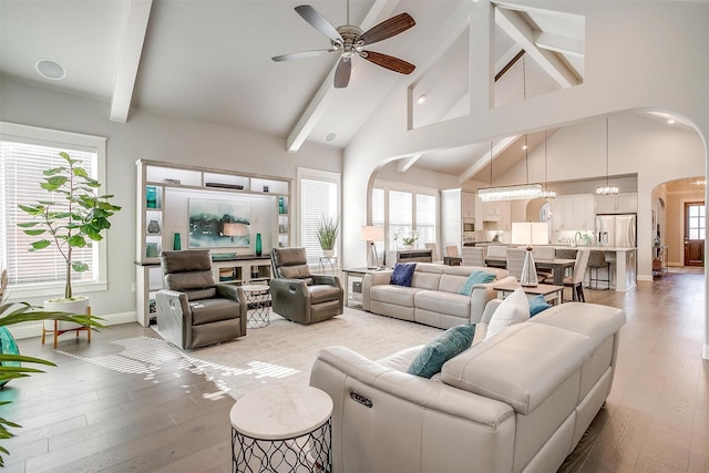 living room with ceiling fan, a healthy amount of sunlight, and light wood-type flooring