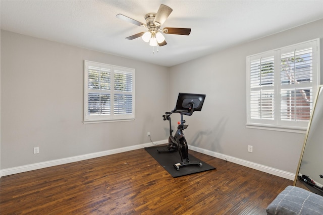 workout area with dark wood-type flooring, plenty of natural light, and ceiling fan