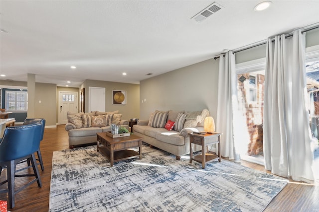 living room with wood-type flooring