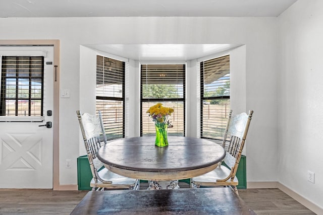 dining space featuring hardwood / wood-style floors